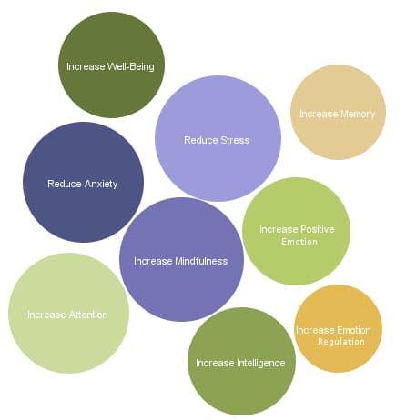 Effects of Mindfulness Meditation