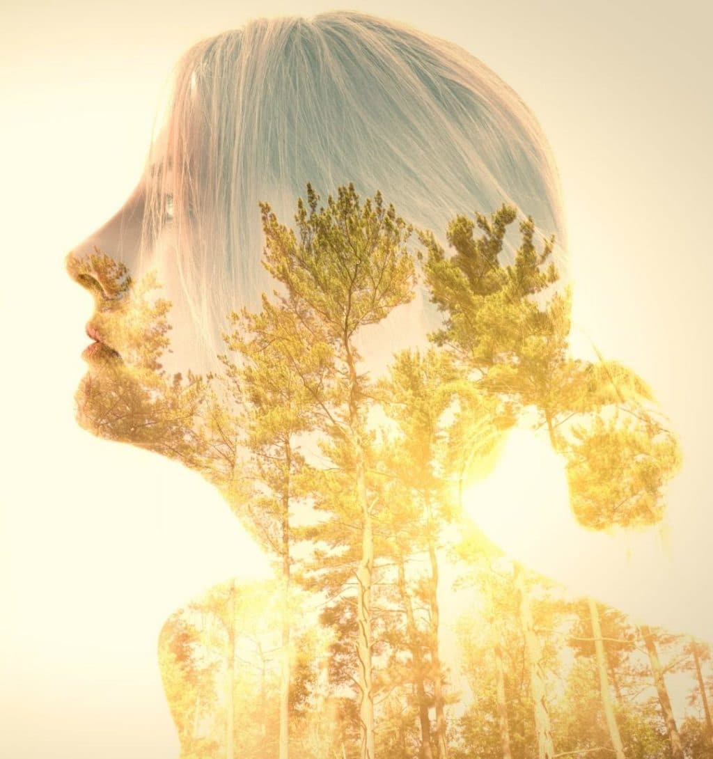 practical-wisdom-eudaimonia